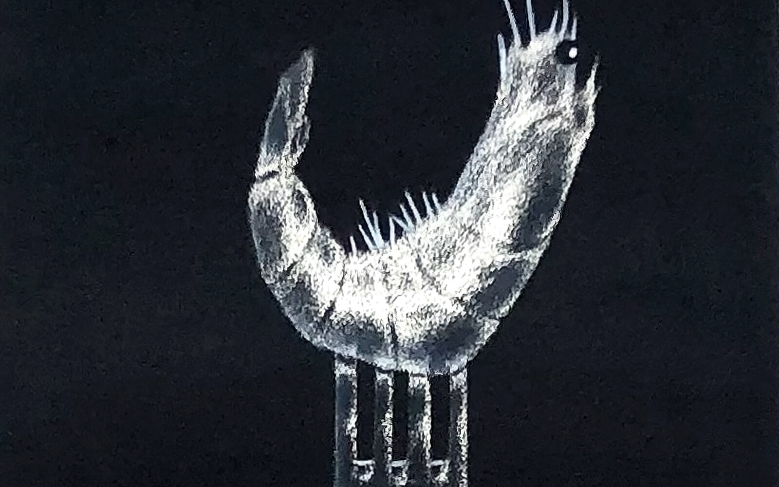 Detail of the artwork. Shows a shrimp pierced on a fork