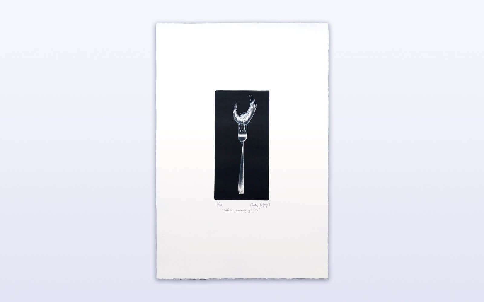 Engraving artwork. In vertical a metal fork, and on top a shrimp in black colors