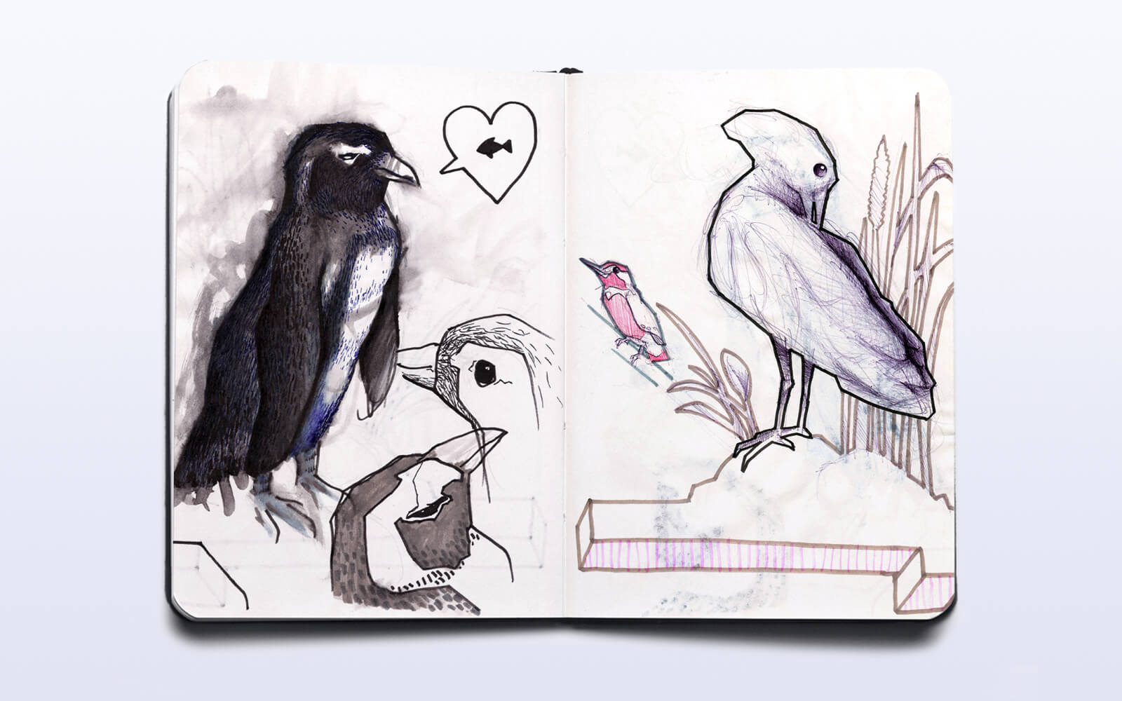 Sketches in a notebook of different birds. On the left page there is a penguin and on the right side a heron